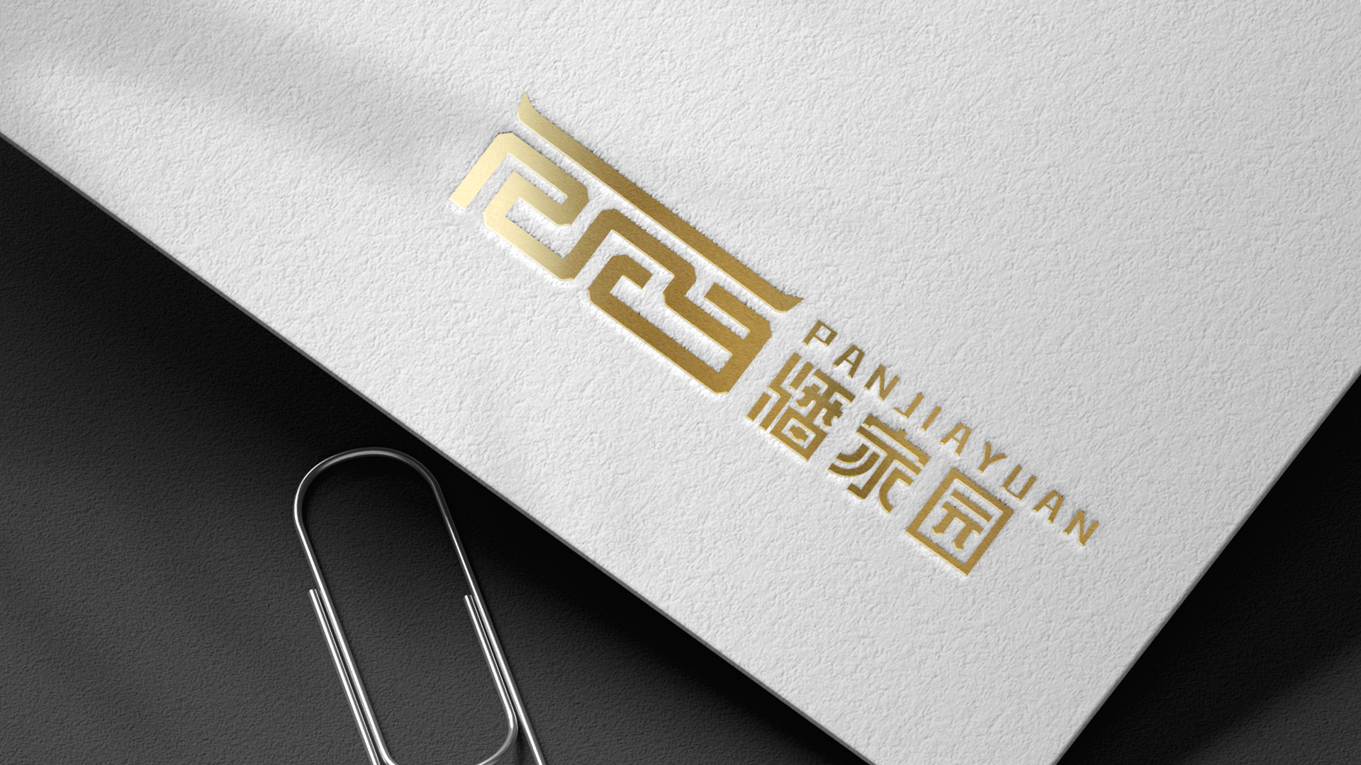潘logo效果图3