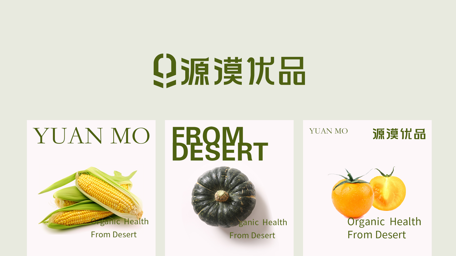 源漠优品效果图 拷贝 1