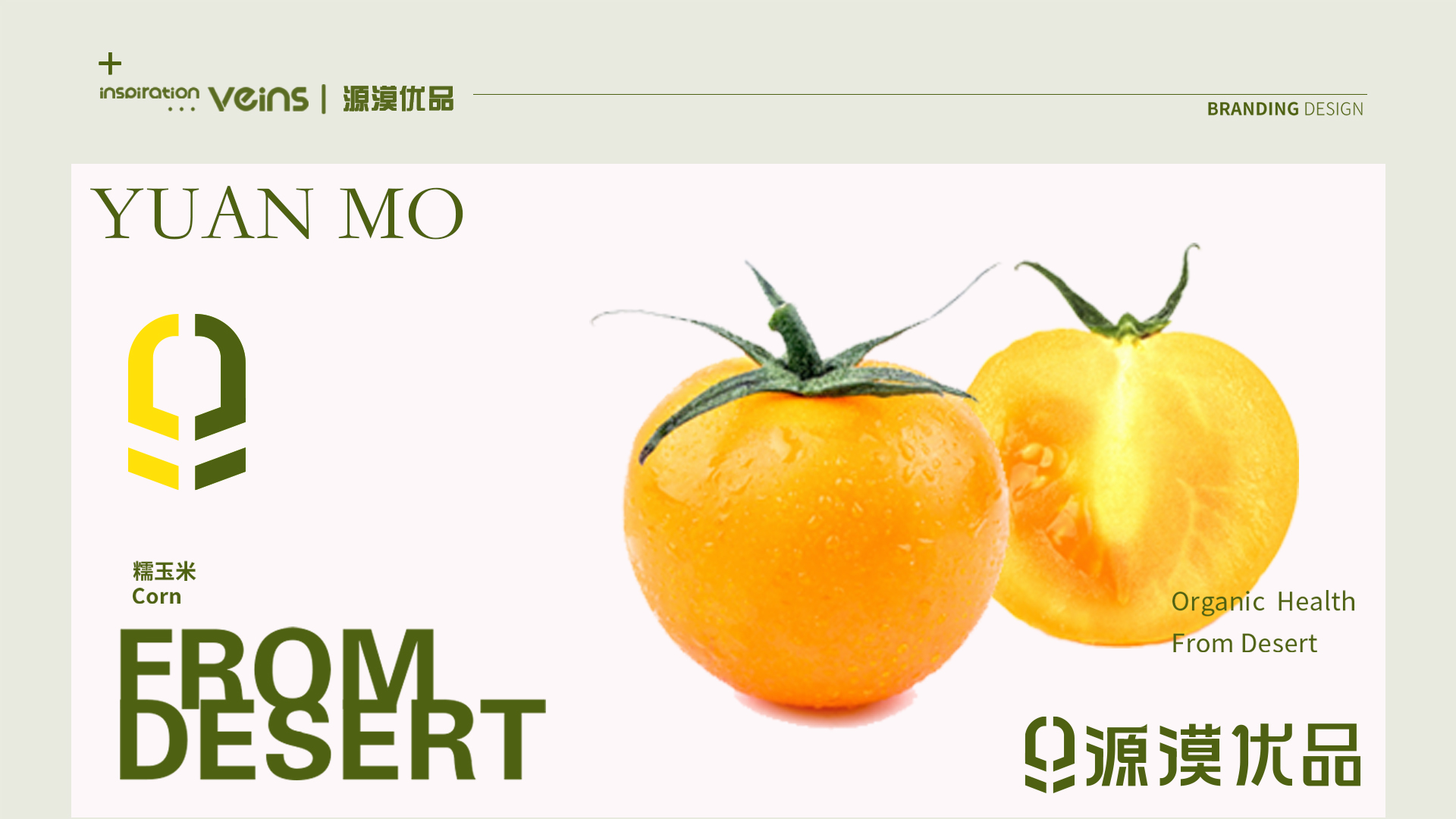源漠优品效果图 拷贝 2