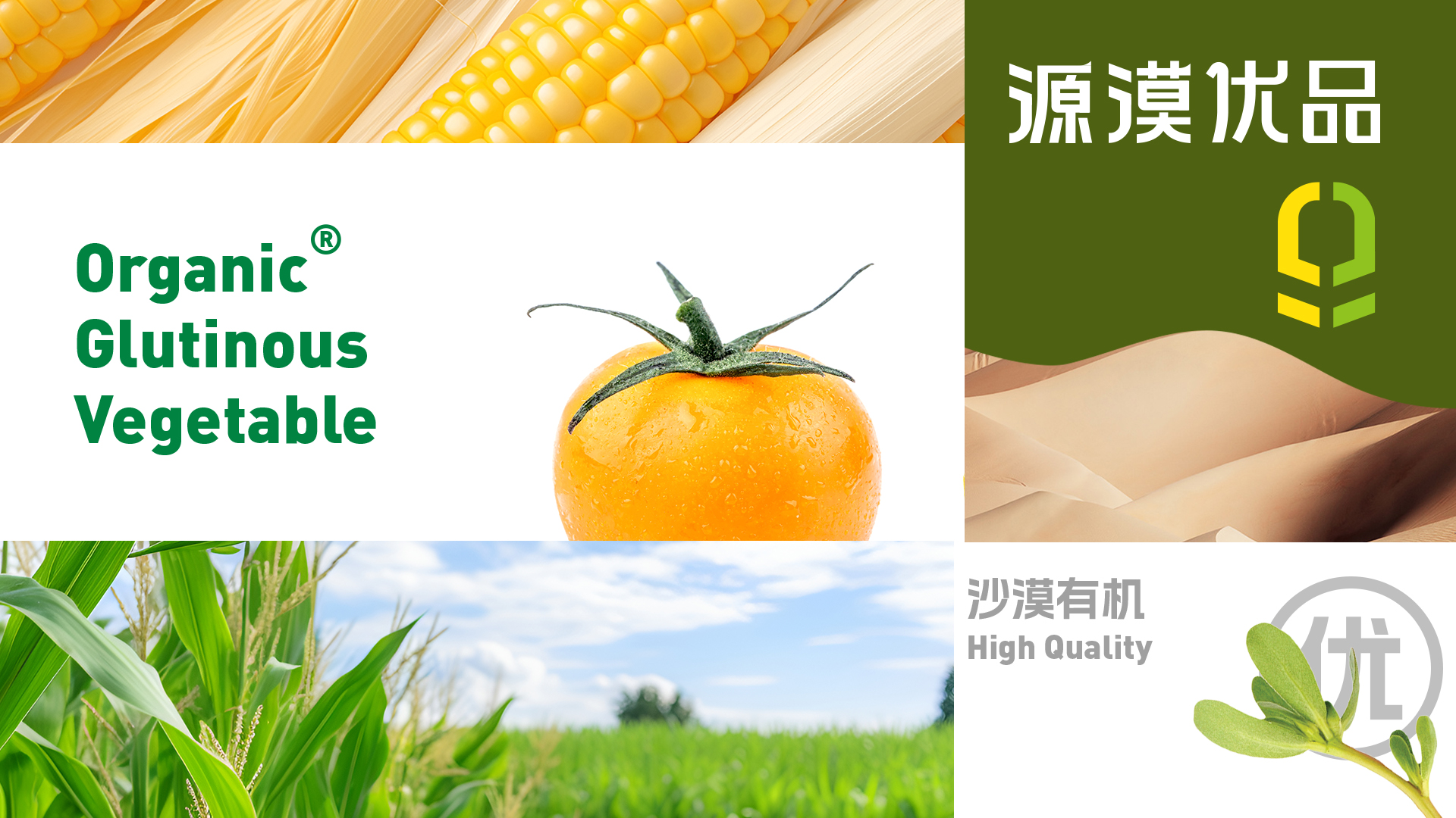 源漠优品效果图 拷贝 7