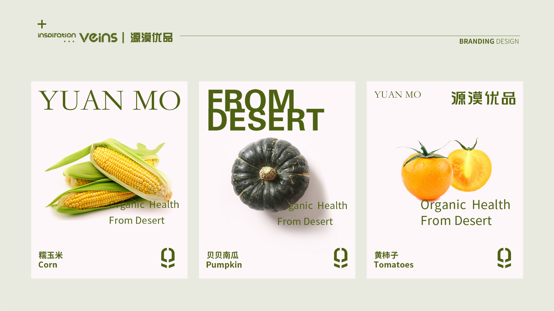 源漠优品效果图 拷贝 4